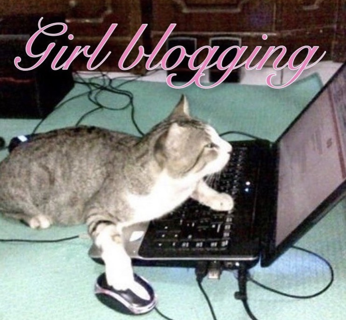 AN IMAGE OF A GRAY TABBY CAT ON A LAPTOP THAT'S CAPTIONED 'GIRLBLOGGING' IN A PINK, SPARKLY, CURSIVE FONT.